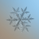 Illustration for article titled Amazing close-up photos of snowflakes taken without a microscope